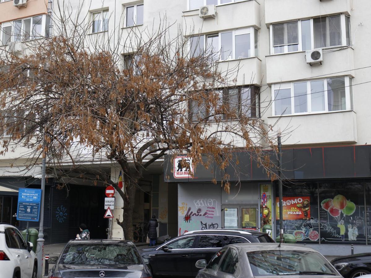 Mina City Center Apartment Amzei Bucharest Exterior photo